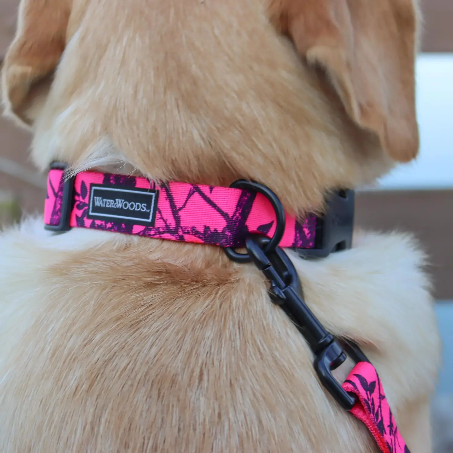 Blaze Adjustable Patterned Dog Collar Neon Pink Tree Large 1" x 18-26"