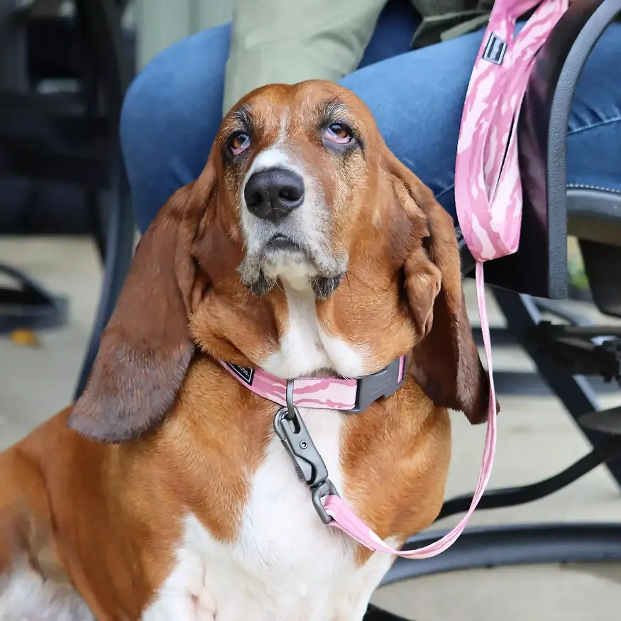 Adjustable Dog Collar Bottomland Pink Medium 3/4" x 10' to 14"