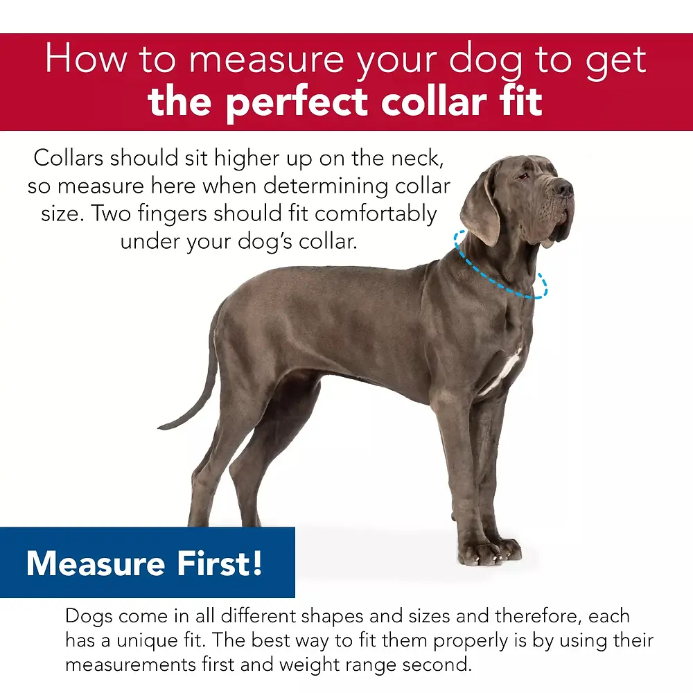 Adjustable Dog Collar Country Roots Evergreen X-Small 3/4" x 8"-12"