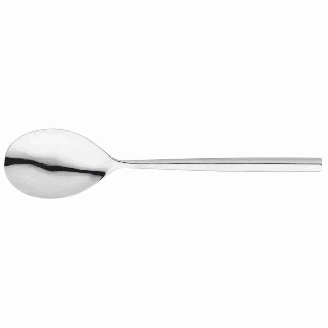 STELLAR 2PC SERVING SPOON SET