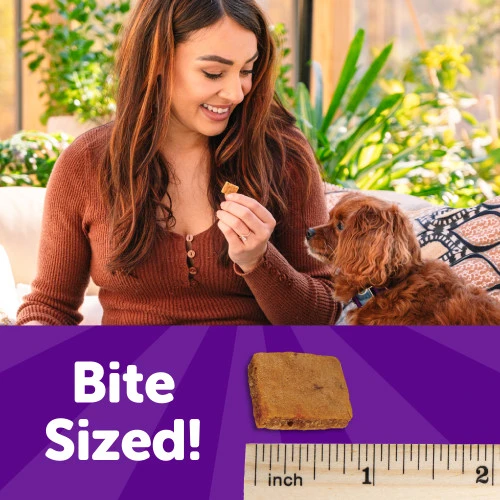 Puppy Bites Lamb & Salmon Grain-Free Soft Treats 8 oz