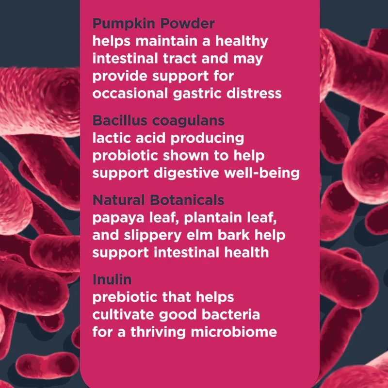 Probiotic Digestive Health Support Soft Chew Supplements For Dogs 9.5 oz