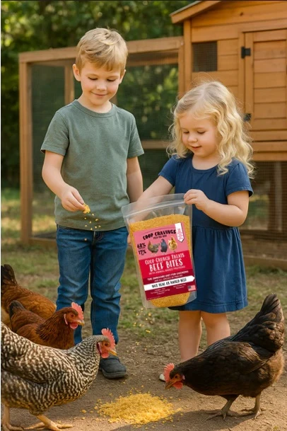 Coop Crunch Beef Bites Treats for Chickens 2 lb