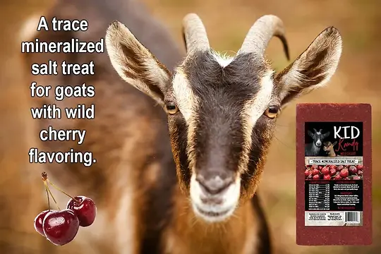 Kid Kandy Trace Salt & Trace Mineral Lick for Goats 4 lb