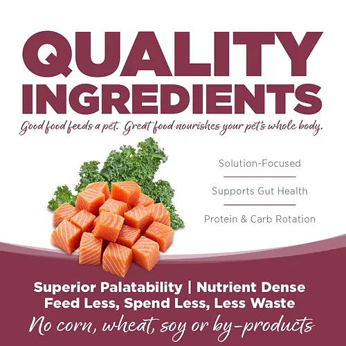 Limited Ingredient Salmon & Kale Entrée Dry Dog Food 4 lb
