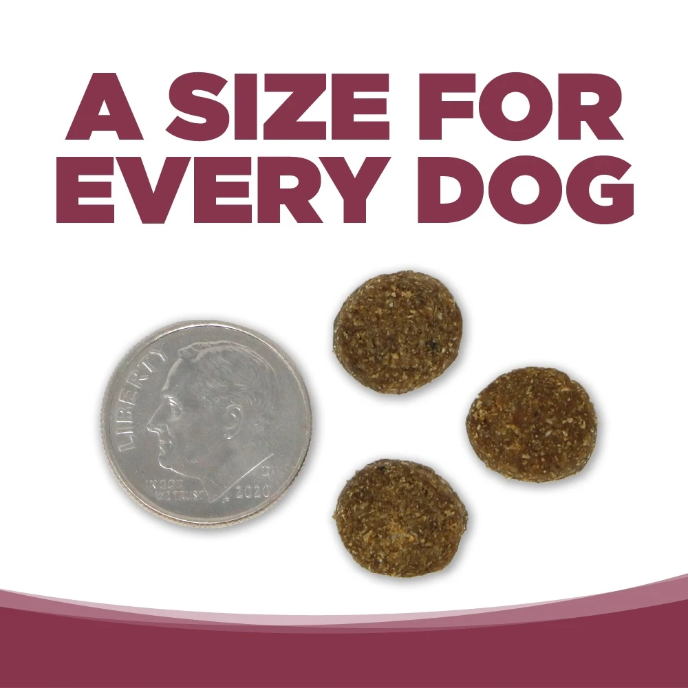Limited Ingredient Salmon & Kale Entrée Dry Dog Food 4 lb