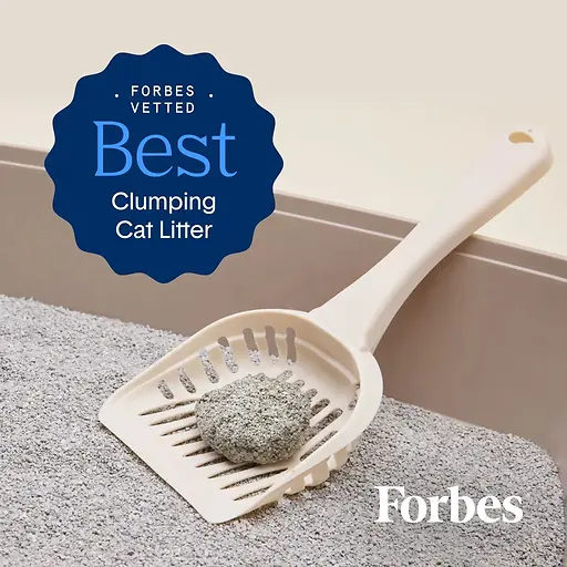 Premium Clumping Clay Litter All Natural Scent Free 16 lb