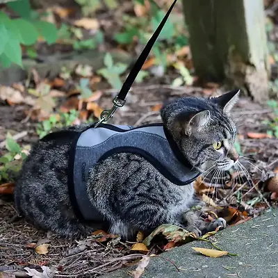 Adjustable Cat Wrap Harness with 6' Leash Medium 11"-16"