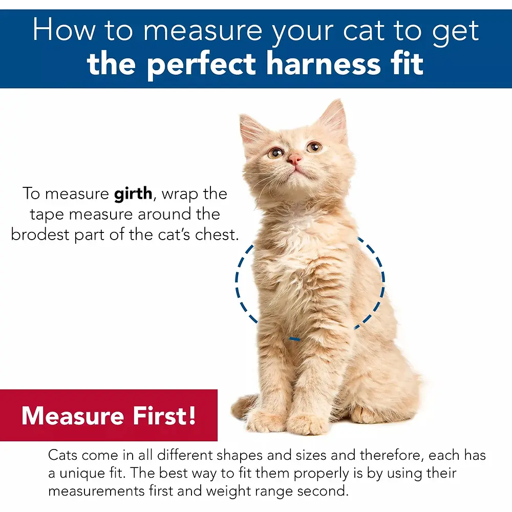 Comfort Soft Adjustable Cat Harness with 6' Leash X-Small