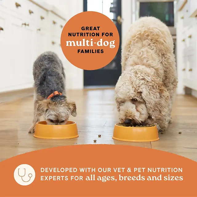 All Life Stages Multi-Protein Recipe Dry Dog Food 5 lb