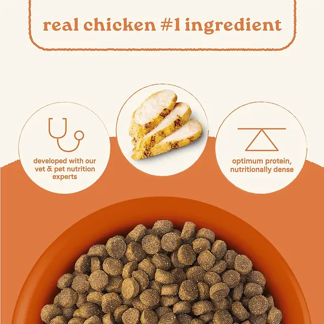 All Life Stages Real Chicken & Ancient Grains Recipe Dry Dog Food 5 lb