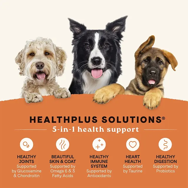 All Life Stages Real Chicken & Ancient Grains Recipe Dry Dog Food 5 lb