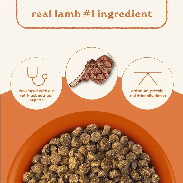 All Life Stages Real Lamb & Ancient Grains Recipe Dry Dog Food 5 lb