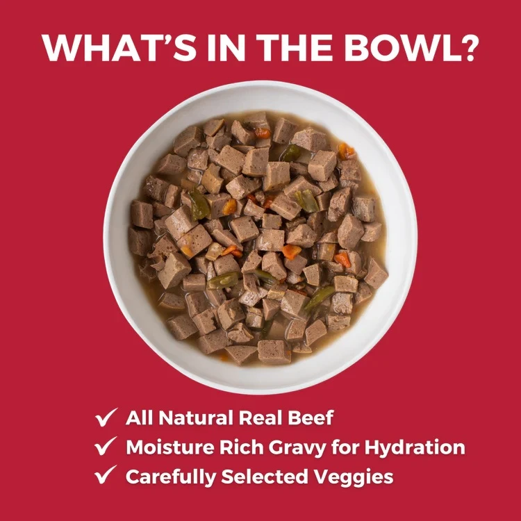 Lone Star Brisket Slow Cooked Stew Beef Recipe Canned Dog Food 12.7 oz