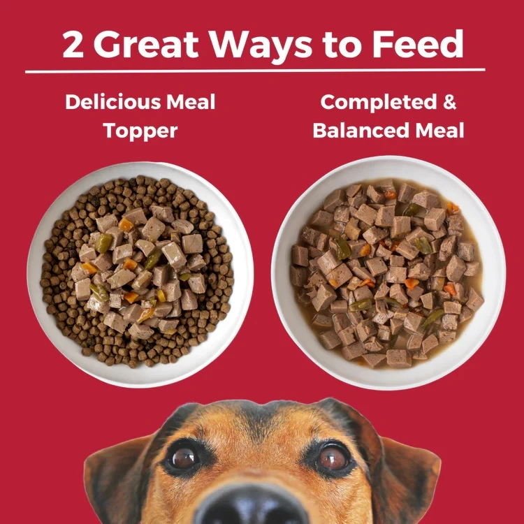 Lone Star Brisket Slow Cooked Stew Beef Recipe Canned Dog Food 12.7 oz