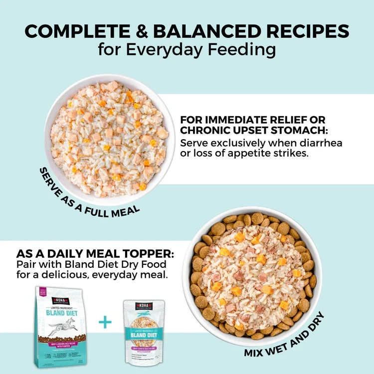 Limited Ingredient Bland Diet Beef & White Rice Recipe Wet Dog Food Pouch 12.5 oz