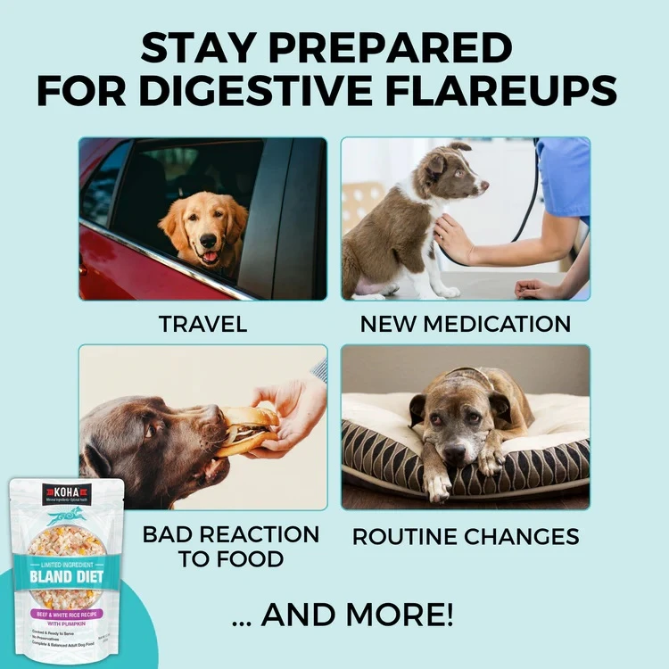 Limited Ingredient Bland Diet Beef & White Rice Recipe Wet Dog Food Pouch 12.5 oz