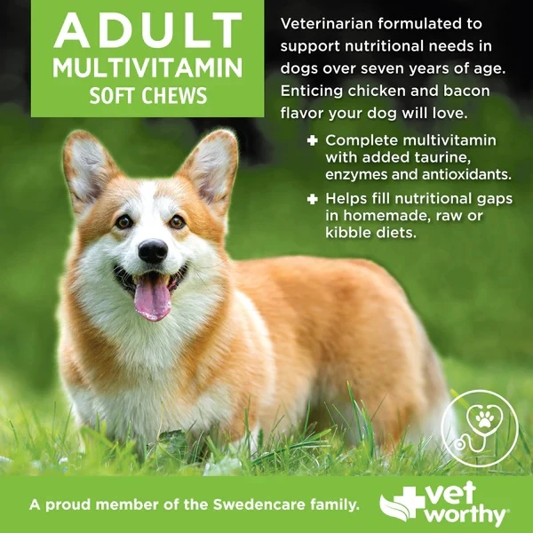 Multivitamin Adult Dog 60 ct