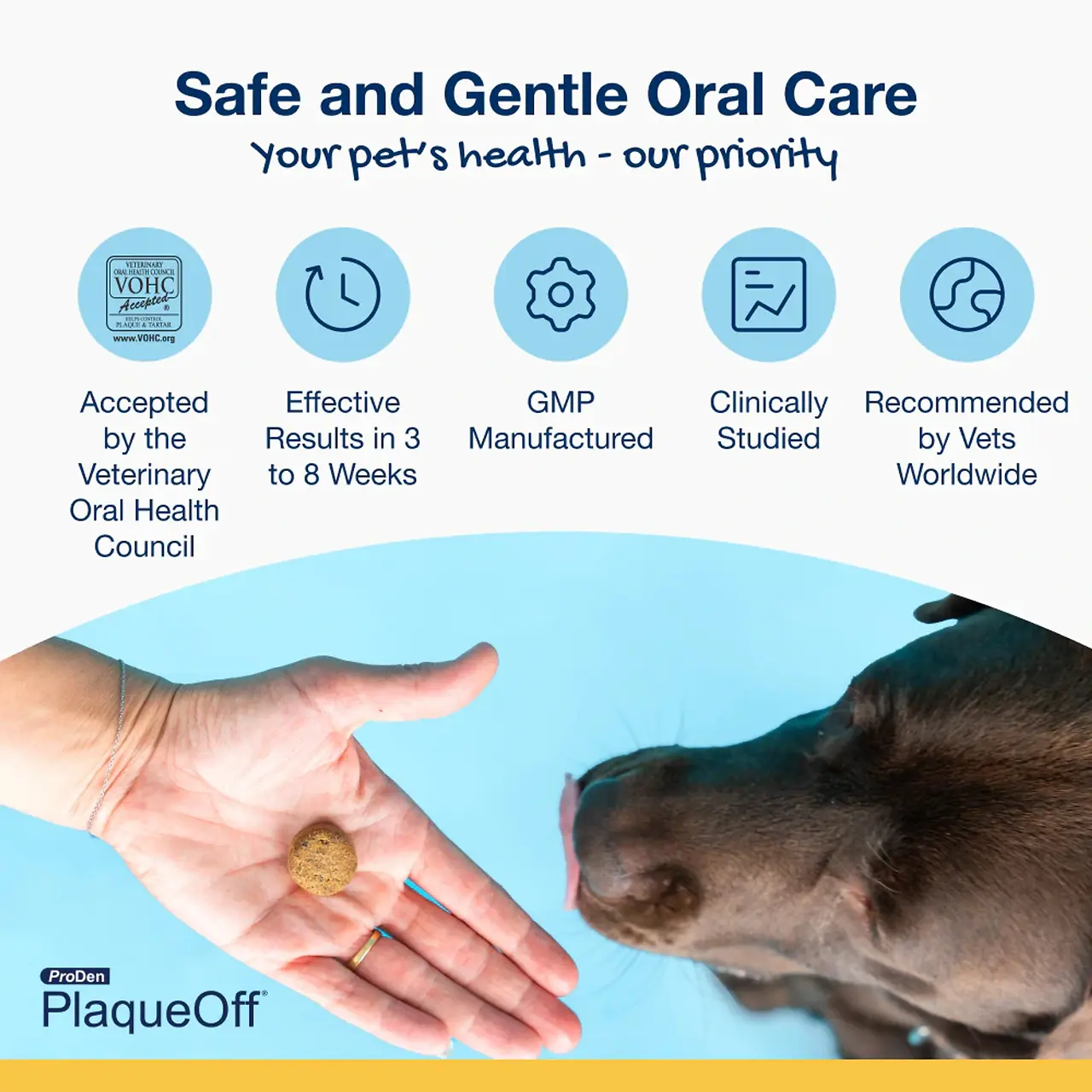 Soft Chews for Small & Medium Dogs & Cats 45 Count