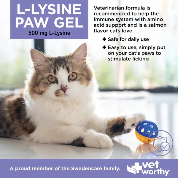 L-Lysine Paw Gel Immune Systems Support for Cats 3 oz