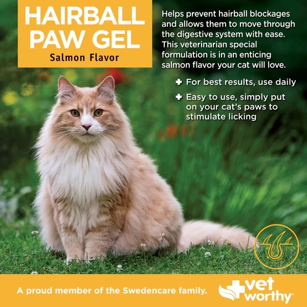 Hairball Paw Gel for Cats Salmon Flavor 5 oz