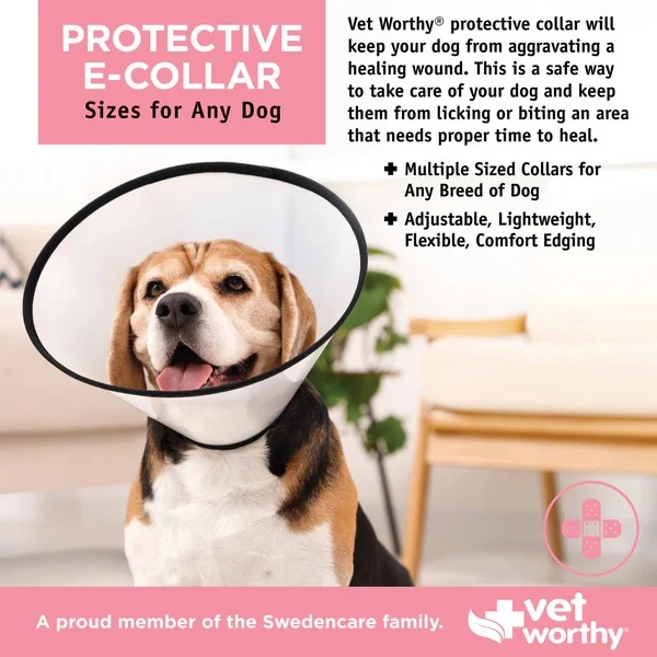 Pet Cone Protective E-Collar XX-Large
