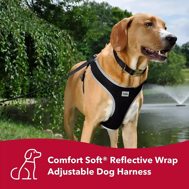 Comfort Soft Reflective Wrap Adjustable Dog Harness Black Large