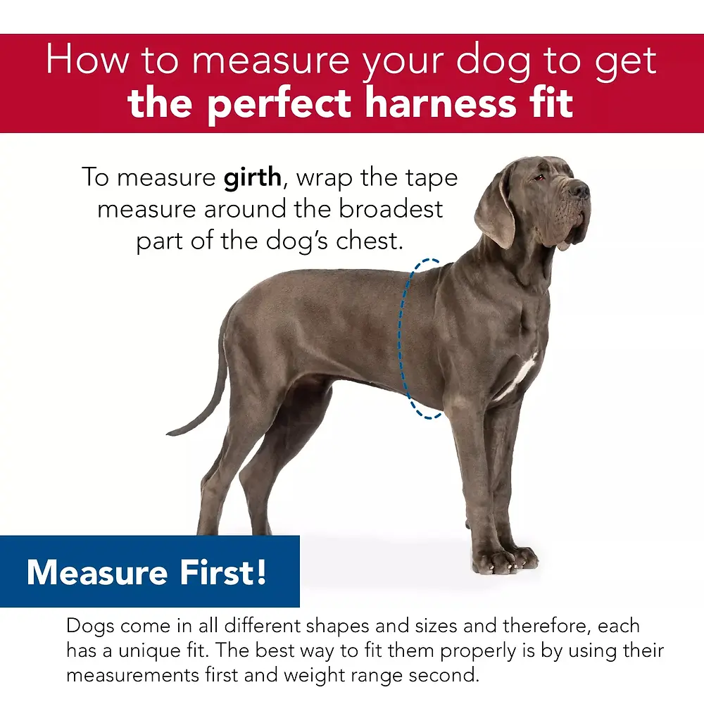 Comfort Soft Reflective Wrap Adjustable Dog Harness Purple Large