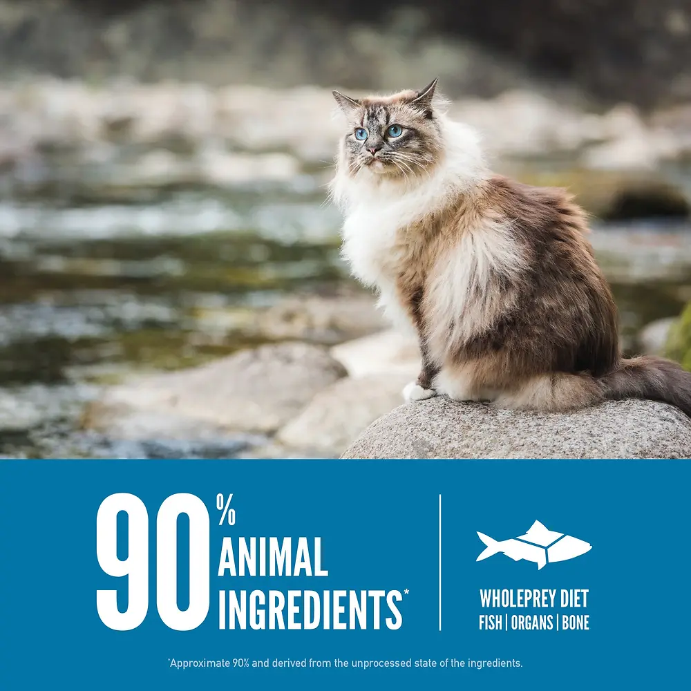 Six Fish Recipe Dry Cat Food 4 lb