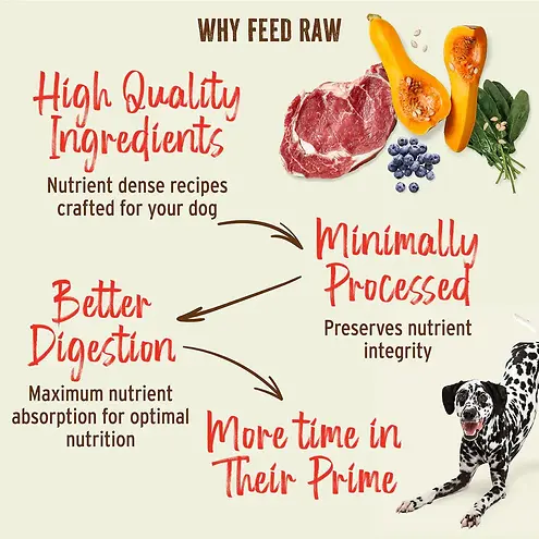 Kibble in the Raw Fish & Pork Recipe Freeze-Dried Dog Food 1.5 lb