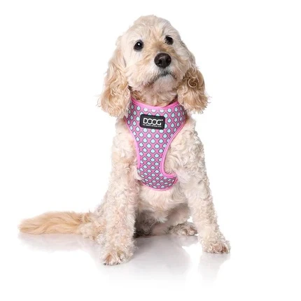 Neoflex Soft Dog Harness 'Luna' X-Large