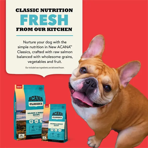 Classics Salmon & Barley Recipe Dry Dog Food 22.5 lb