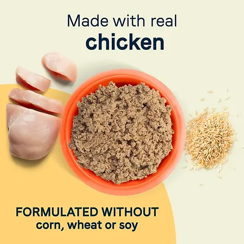 All Life Stages Chicken & Rice Wet Dog Food 13 oz