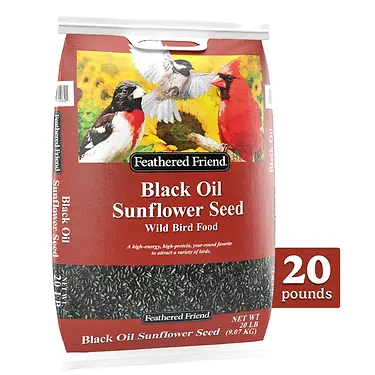 Black Oil Sunflower Seed Wild Bird Food 20 lb