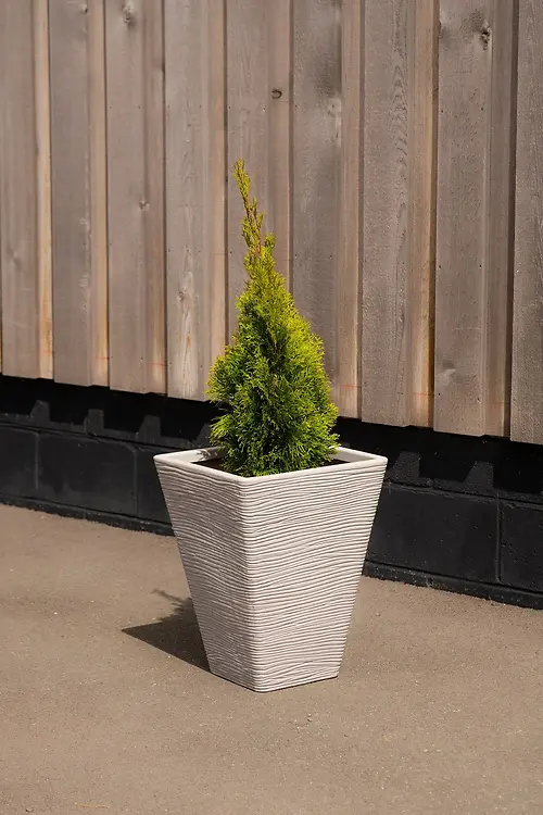 Tall - Tapered - Amalfi - PLANT POT