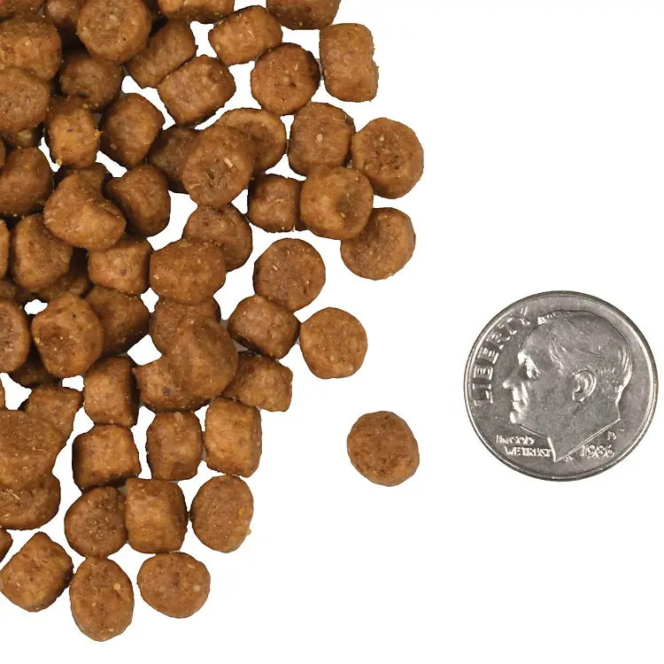Four-Star Chicken À La Veg® Recipe Dry Cat Food 4 lb