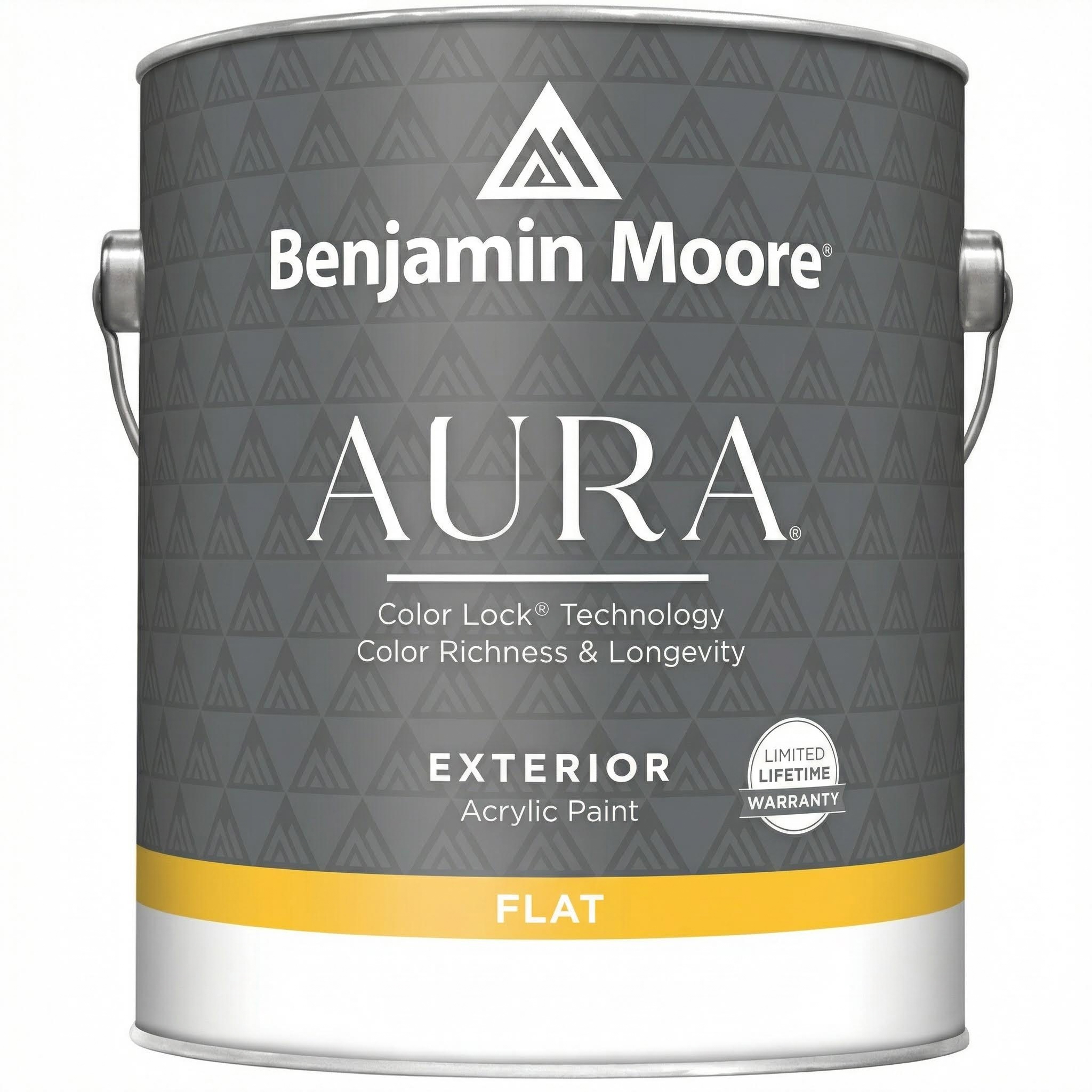 Aura Exterior Paint Flat