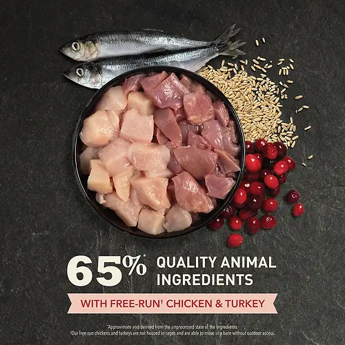 Indoor Entrée Recipe with Poultry & Fish Dry Cat Food 10 lb