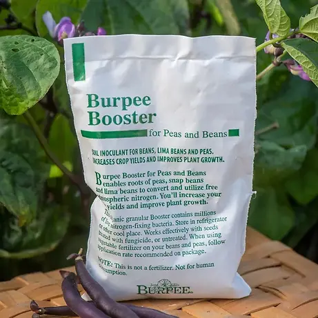 Soil Inoculant Bean & Pea Booster