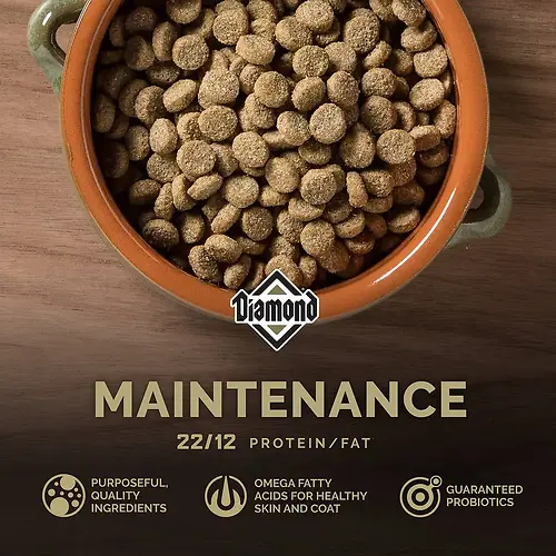 Maintenance Adult Dry Dog Food 40 lb