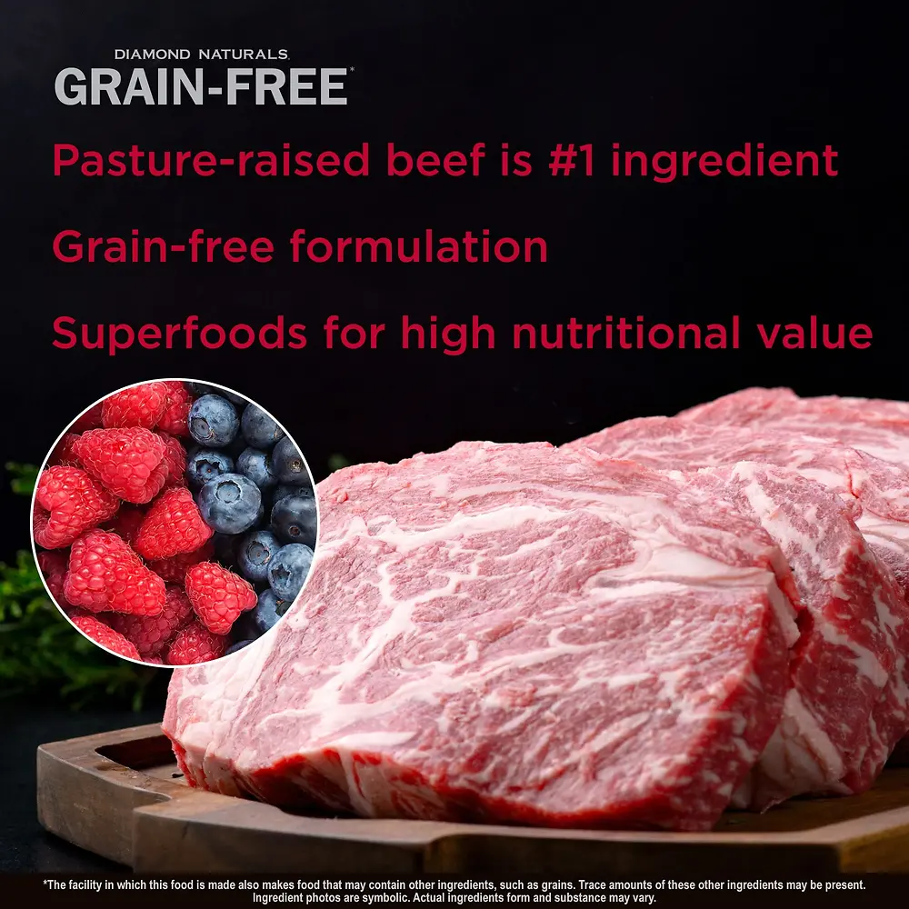 Naturals Grain-Free Pasture-Raised Beef & Sweet Potato Formula Dry Dog Food 14 lb