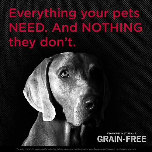 Naturals Grain-Free Pasture-Raised Beef & Sweet Potato Formula Dry Dog Food 28 lb