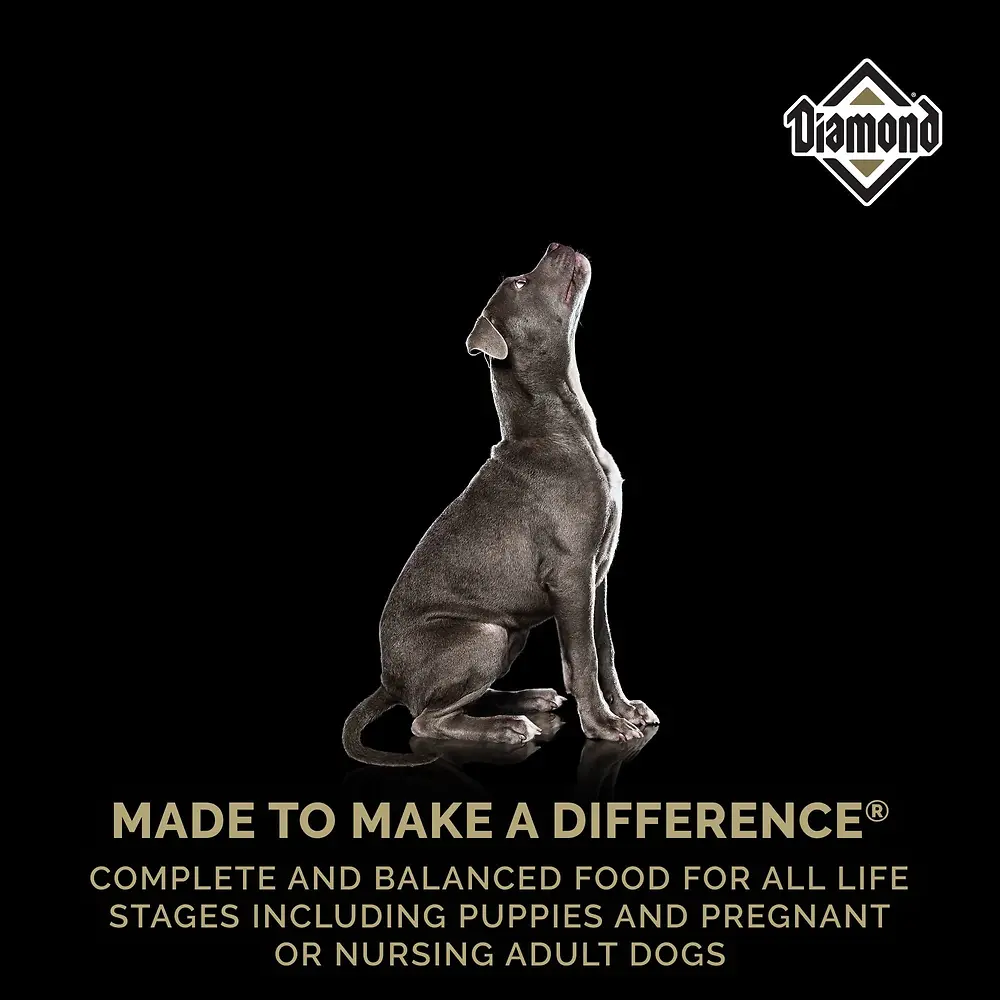 Puppy Dry Dog Food 40 lb