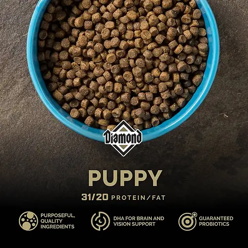 Puppy Dry Dog Food 40 lb