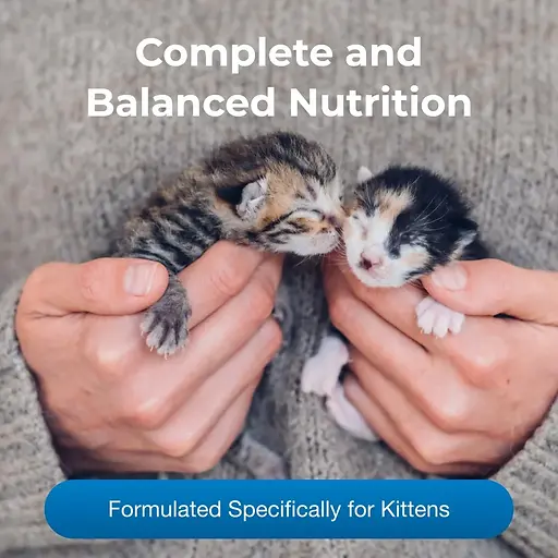KMR® Kitten Milk Replacer Liquid (Ready-to-Use) 16 oz