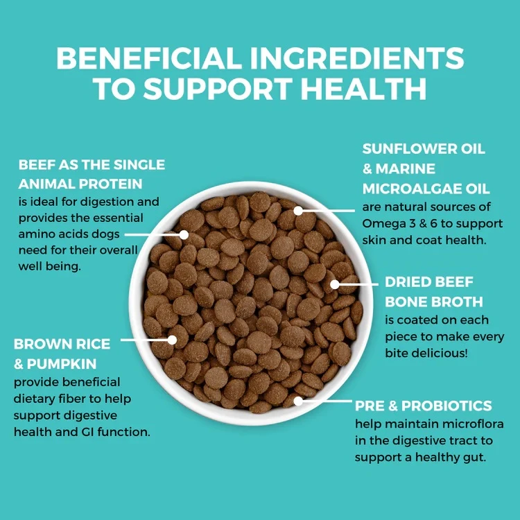 Limited Ingredient Bland Diet Beef & Brown Rice Recipe with Pumpkin Dry Dog Food 20 lb