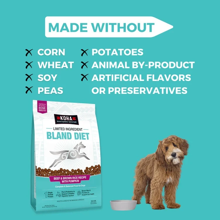 Limited Ingredient Bland Diet Beef & Brown Rice Recipe with Pumpkin Dry Dog Food 20 lb