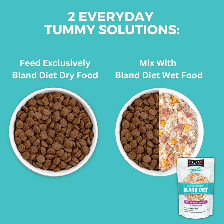 Limited Ingredient Bland Diet Beef & Brown Rice Recipe with Pumpkin Dry Dog Food 20 lb