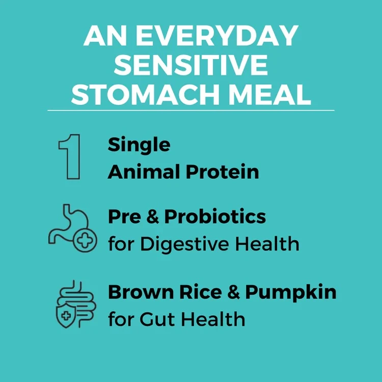 Limited Ingredient Bland Diet Beef & Brown Rice Recipe with Pumpkin Dry Dog Food 3.5 lb
