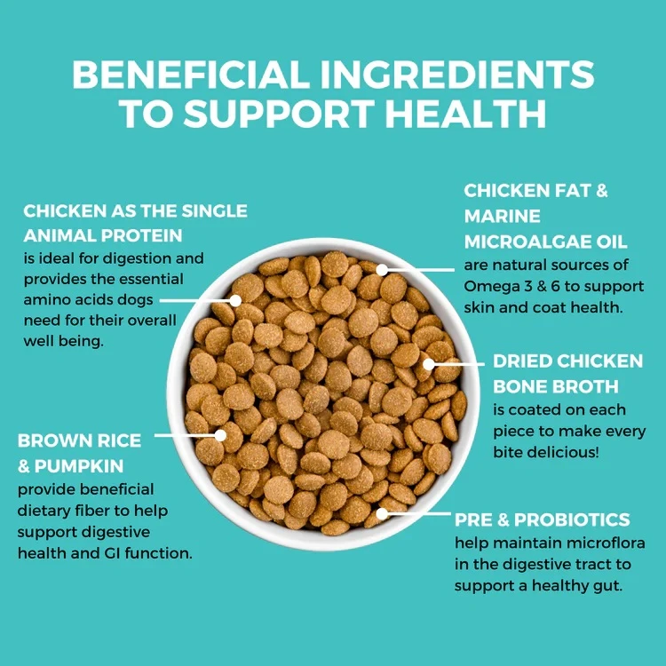 Limited Ingredient Bland Diet Chicken & Brown Rice Recipe with Pumpkin Dry Dog Food 20 lb